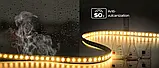 LED стрічка COLORS Chip-24V-IP20 9.6W 980Lm 3000K 5м (FD128-24v-8mm-WW), фото 6
