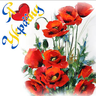 Магніт "Я люблю Україну" 60х60 мм