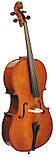 Віолончель STENTOR 1102/A STUDENT I CELLO OUTFIT 4/4, фото 3