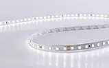 Світлодіодна стрічка COLORS, 12V, 120 led/m, 9.6W, 823Lm, IP20, 4000K (D8120-12V-8mm-NW), фото 2