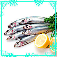 Салака з головою свіжоморожена