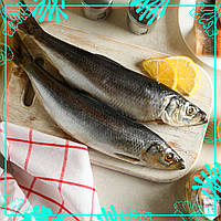 Оселедець з/г 400+