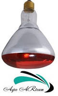 Лампа інфрачервона 150 Вт червона, загартоване скло