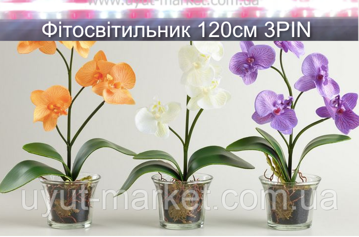 Фітосвітильник для орхідей 1,2м 16Вт( 2червоних:2 білих) 3PIN для стимуляції цвітіння, фото 1