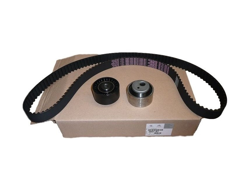 Комплект ГРМ Citroen Jumpy 1.9 D DW8 98- CITROEN ОРИГИНАЛ 0831R7, фото 1