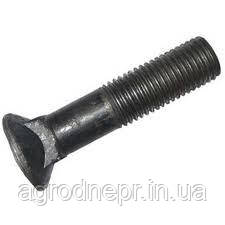 3015740 Спецболт 1199A М16х80 (10.9) потайний під квадрат DIN608 чорний з гайкою, фото 1