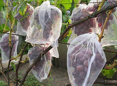 Мішки від ос на виноград 40 кг, 50*80 см (сітка-мішок для винограду). Червона, фото 3