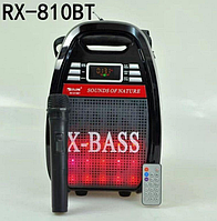 Колонка-валіза Golon RX-810BT зі світломузкою, з мікрофоном +bluetooth
