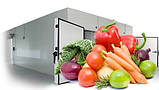 Холодильна камера для овочів овочесховище, фото 2