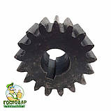 Шестерня 17 зубів під шпонку (сталь) №10, фото 4