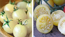 Насіння білого помідора (томату)