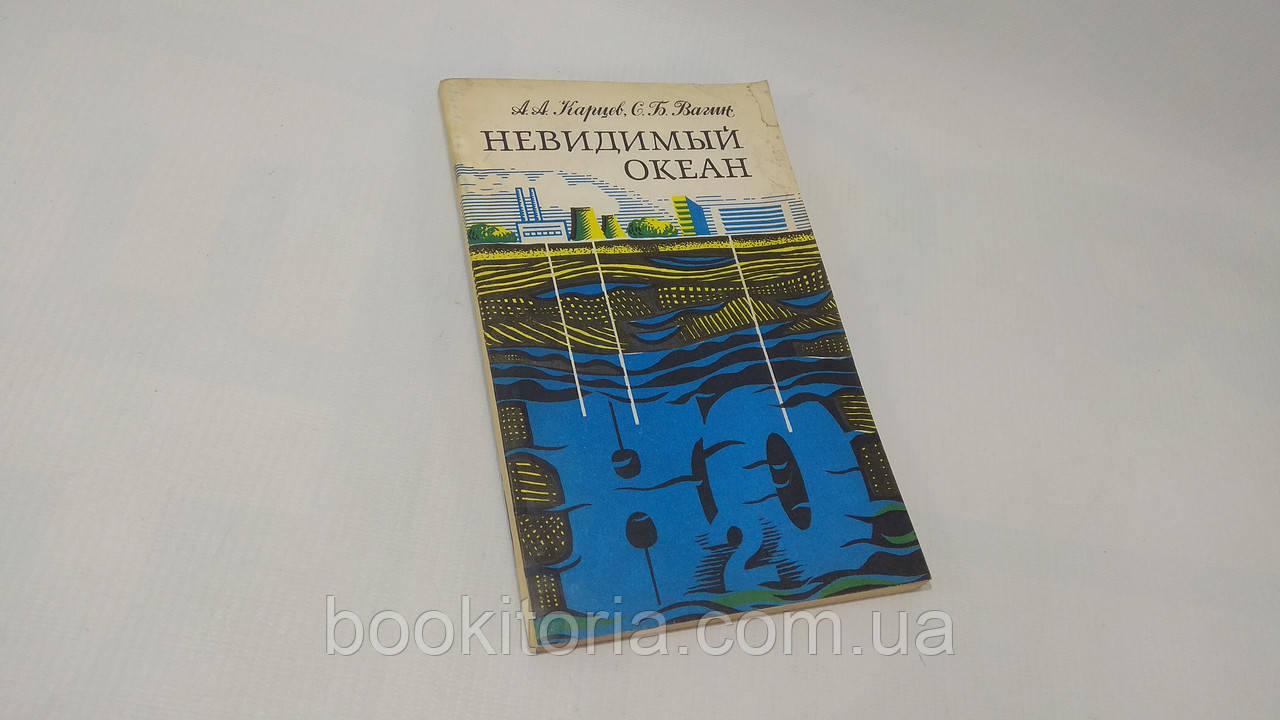 Карців А., Вагін С. Невидимий океан (б/у).