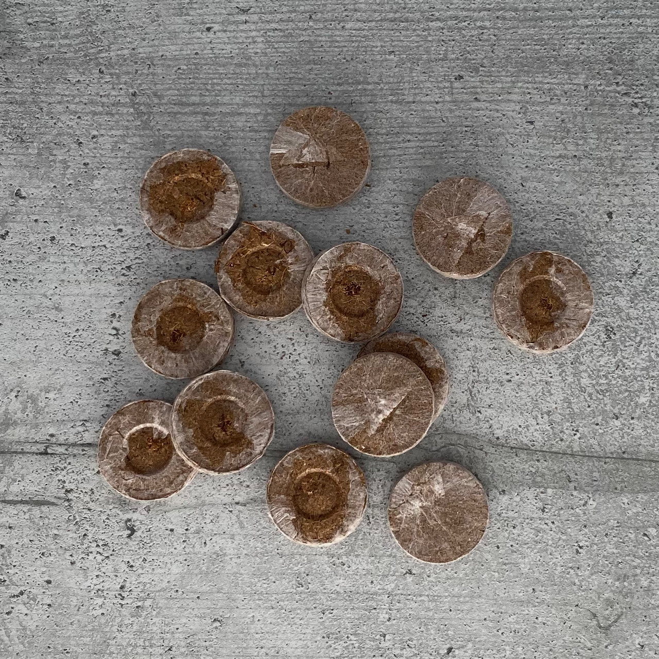 Торфʼяні таблетки Ø27 мм Ceres, фото 1