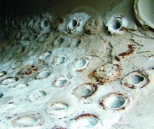 профессиональное средство для удаления железоокисных отложений SVOD-ТВН Professional 30кг свод-твн professional для удаления железоокисных отложений_профессиональное средство для удаления железоокисных отложений_профессиональное средство для очистки теплообменника_профессиональное средство для очистки котлов_профессиональное средство для очистки газовых колонок_профессиональное средство для очистки конденсаторов турбин_профессиональное средство для очистки испарительных установок_профессиональное средство для очистки системы отопления_профессиональное средство для очистки системы охлаждения_SVOD-ТВН Professional для залізоокисних відкладень_професійний засіб для видалення залізоокисних відкладень_засіб для видалення накипу з усіх поверхонь нагріву_засіб для очищення теплообмінників_засіб для очищення котлів_засіб для очищення газових колонок_засіб для очищення водонагрівачів_засіб для очищення конденсаторів турбін_засіб для очищення випарних установок_засіб для очищення системи опалення_засіб для очищення системи охолодження