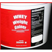 ACTIVEVITES WHEY WEIGHT GAINER 2500G