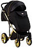 Коляска 2 в 1 Adamex Luciano Polar (Gold) Q85 чорний - чорна шкіра (видавлений точка), фото 7