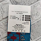 Шкарпетки підліток весна/осінь спорт PREMIUM SOCKS 24р хлопчик асорті 30031471, фото 9