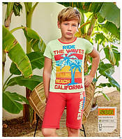 Комплект футболки + шорти для хлопчика 5386 Berrak