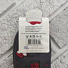 Шкарпетки дитячі високі весна/осінь малюнок р. 23-26 ароматизовані Neseli Coraplar 20036751, фото 4