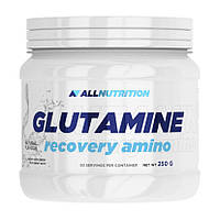 Glutamine Recovery Amino All Nutrition, 250 грамм (без вкуса)