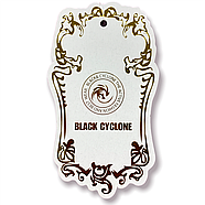 Бриджі жіночі бавовна Black Cyclone, розмір 2XL, бірюзові, WK-033, фото 5