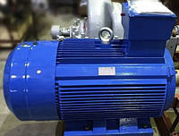 АИР355МА6 (электродвигатель АИР355МА6 200 кВт 1000 об/мин)