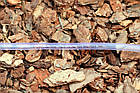 Шланг харчових продуктів Presto-PS Сrystal Tube діаметр 16 мм, довжина 50 м (PVH 16 PS), фото 4