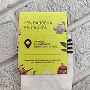 Шкарпетки дитячі короткі літо сітка асорті р.16-18 Житомир 30035623, фото 4
