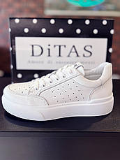 Білі кеди жіночі Осені Ditas 40р., фото 2
