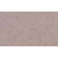 Папір для пастелі "Tiziano" А4 160г/м2 №27 lama/сірий з ворсинками №16F4127