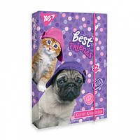 Папка для праці (А4 картонна)  YES  Keith Kimberlin