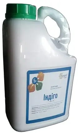 Інсектицидний протравник Індиго Rangoli 5 л, для пшениці, ячменю, соняшника, картоплі від шкідника, фото 1