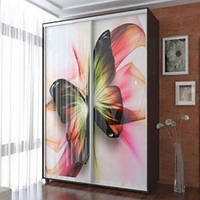 Шафа купе 2-дверна з фотодруком