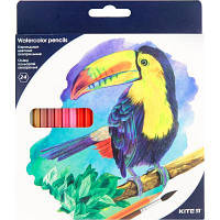 Карандаші кольорові Kite птахи акварельні 24 кольорів (K18-1050)