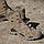 Черевики тактичні Lowa Zephyr GTX Mid TF Coyote (310537/0736), фото 6