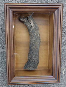 Кіот з вільхи рівний для частинки Мамврійського дуба.