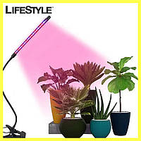 Ультрафиолетовая лампа для растений L1 (1 головка 10w) / Светодиодная фитолампа с таймером 68 х 11 см