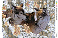 Картина для вышивки бисером БС-3245 Вовки
