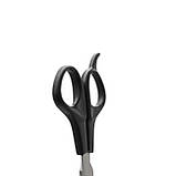 Ножиці перукарські філіровочні навчальні 5.5 SPL 91401, фото 6