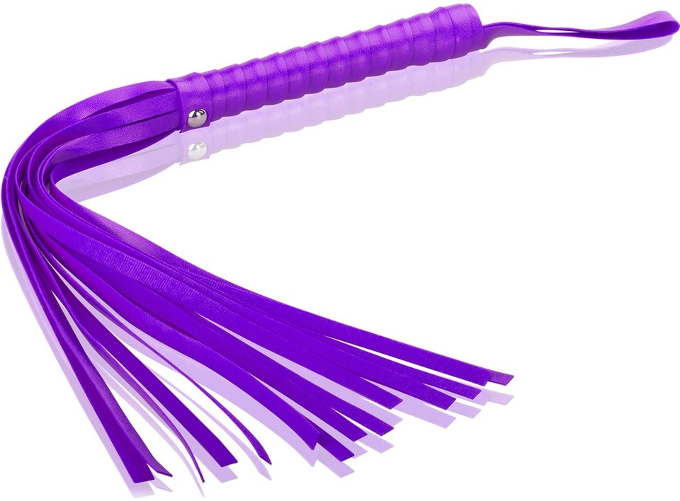 Гладкий мініатюрний батіг, фото 1