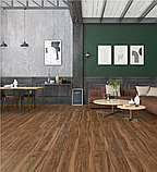 Ламінат KASTAMONU, Кастамону, Урбан, Urban, FU030 URB Astana Ceviz Астана, 32 клас, товщина 8 мм, фото 2