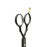 Професійні перукарські ножиці філіровочні 6.0 SPL 90014-63, фото 5