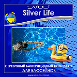 Срібний бактерицидний комплекс для басейнів 2x3000 мл SVOD Silver Life знезараження води без хлору, фото 6