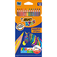 Олівці кольорові BIC Evolution Stripes 12 кольорів