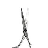 Ножиці перукарські прямі 5.5 SPL 90016-55, фото 3