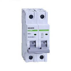 Автоматичний вимикач 2P, 2А, C, 6кА NOARK серія  Ex9BN (100121)
