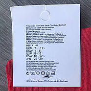 Шкарпетки чоловічі демісезонні бавовна Happy Socks, розмір 41-45, високі, асорті, 09428, фото 3