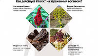 Intoxic препарат від паразитів (Интоксик, Індія, 30мл), фото 6