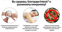 Intoxic препарат від паразитів (Интоксик, Індія, 30мл), фото 4