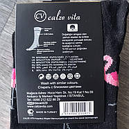 Шкарпетки чоловічі демісезонні бавовна Calze Vita, Туреччина, розмір 41-45, асорті, 09444, фото 3